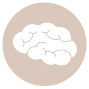 Hirn_pikto_beige_ 979278_20190724