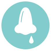 Nase_pikto_tuerkis_979278_20190724